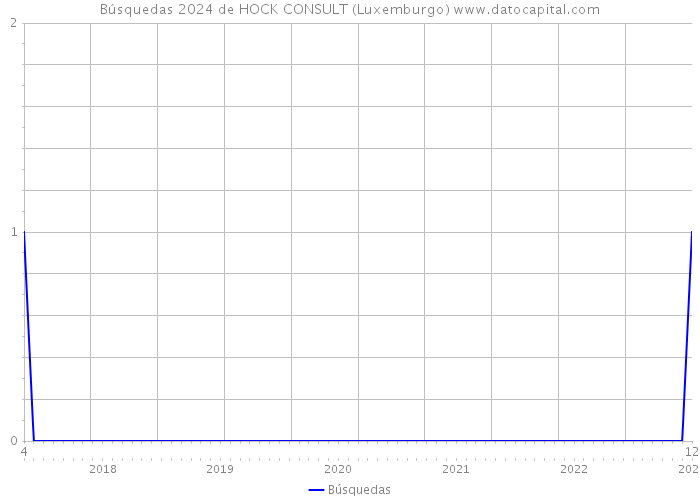 Búsquedas 2024 de HOCK CONSULT (Luxemburgo) 
