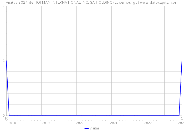 Visitas 2024 de HOFMAN INTERNATIONAL INC. SA HOLDING (Luxemburgo) 