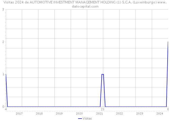 Visitas 2024 de AUTOMOTIVE INVESTMENT MANAGEMENT HOLDING (1) S.C.A. (Luxemburgo) 