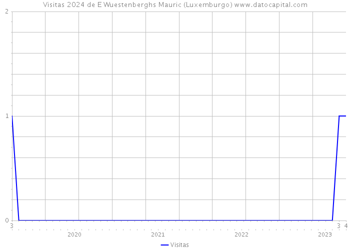 Visitas 2024 de E Wuestenberghs Mauric (Luxemburgo) 