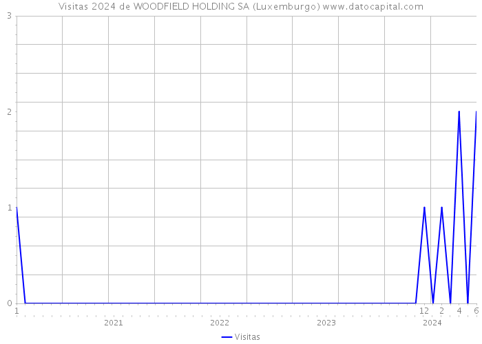 Visitas 2024 de WOODFIELD HOLDING SA (Luxemburgo) 