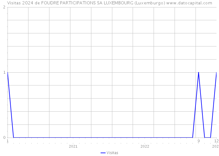 Visitas 2024 de FOUDRE PARTICIPATIONS SA LUXEMBOURG (Luxemburgo) 