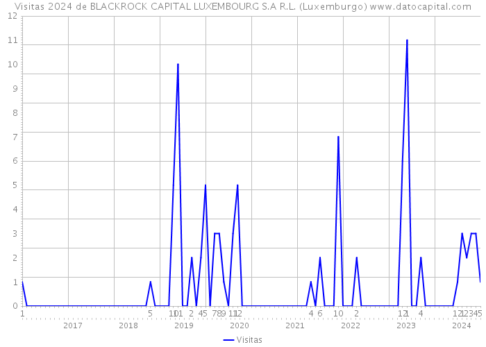 Visitas 2024 de BLACKROCK CAPITAL LUXEMBOURG S.A R.L. (Luxemburgo) 