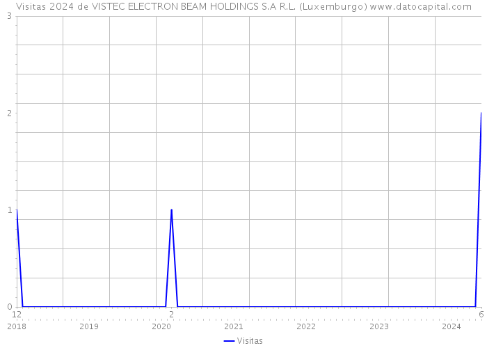 Visitas 2024 de VISTEC ELECTRON BEAM HOLDINGS S.A R.L. (Luxemburgo) 