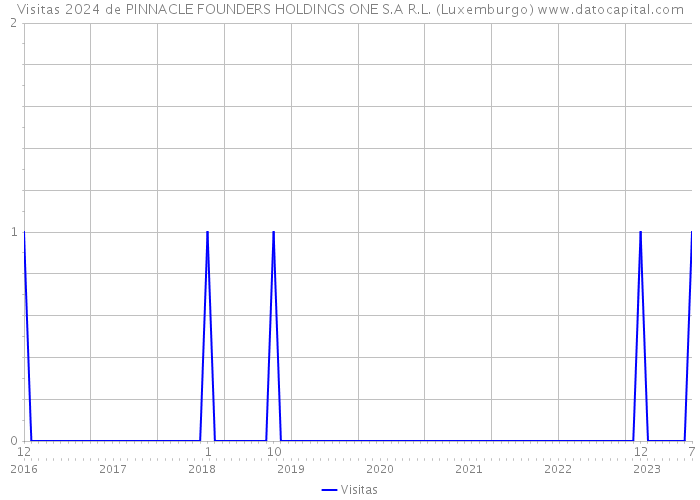 Visitas 2024 de PINNACLE FOUNDERS HOLDINGS ONE S.A R.L. (Luxemburgo) 
