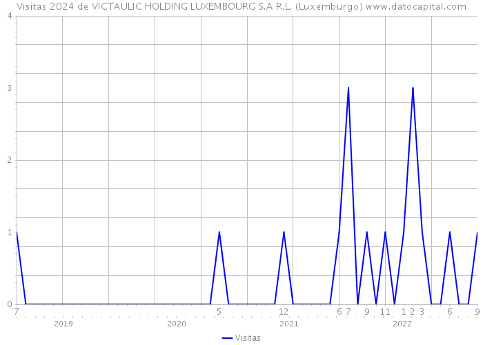 Visitas 2024 de VICTAULIC HOLDING LUXEMBOURG S.A R.L. (Luxemburgo) 