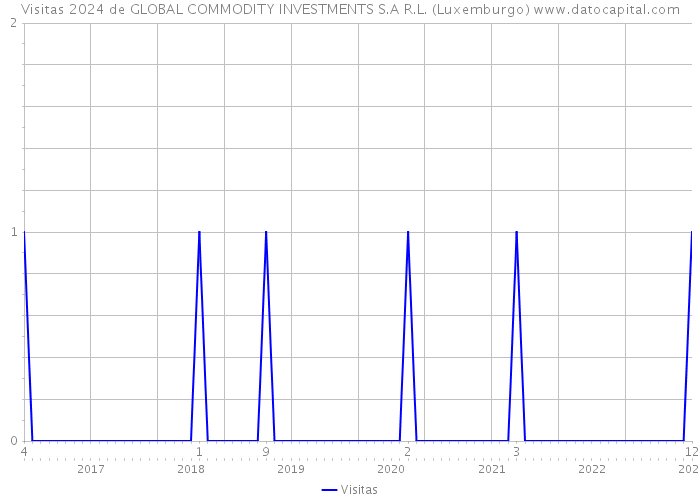 Visitas 2024 de GLOBAL COMMODITY INVESTMENTS S.A R.L. (Luxemburgo) 