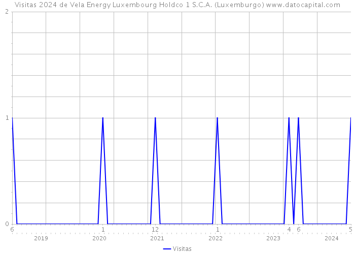 Visitas 2024 de Vela Energy Luxembourg Holdco 1 S.C.A. (Luxemburgo) 