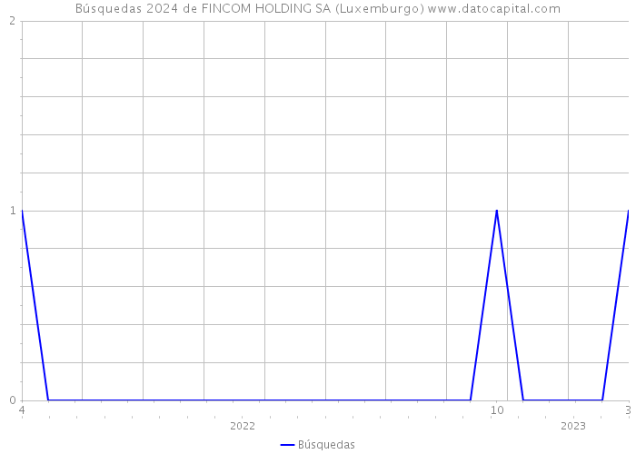 Búsquedas 2024 de FINCOM HOLDING SA (Luxemburgo) 