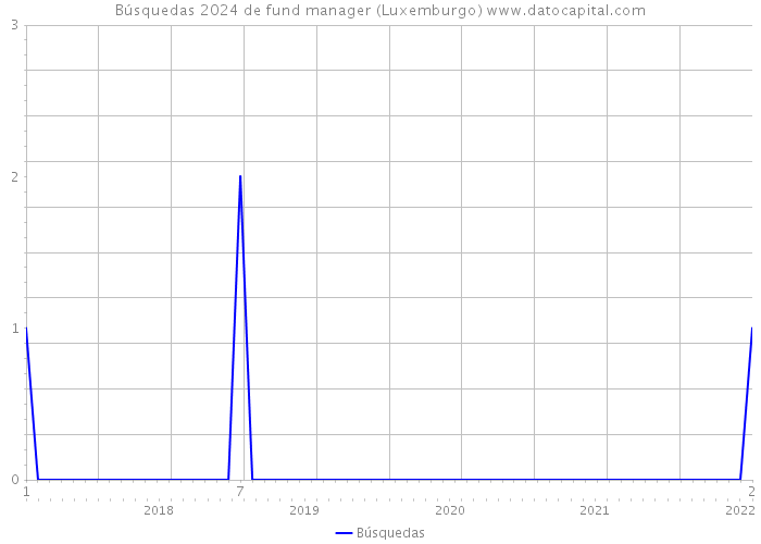 Búsquedas 2024 de fund manager (Luxemburgo) 