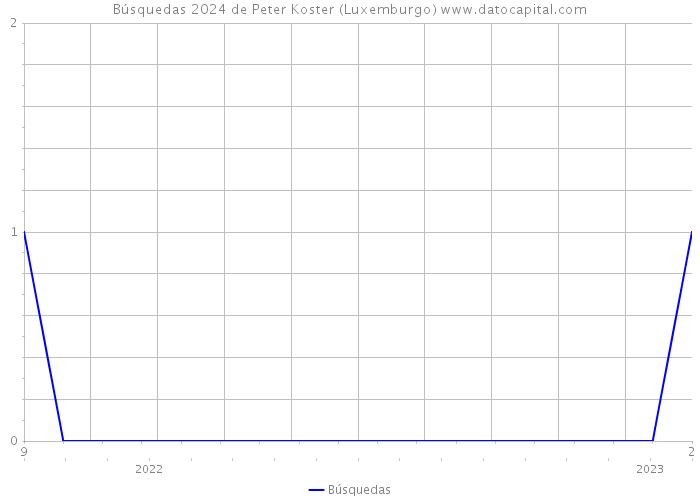 Búsquedas 2024 de Peter Koster (Luxemburgo) 