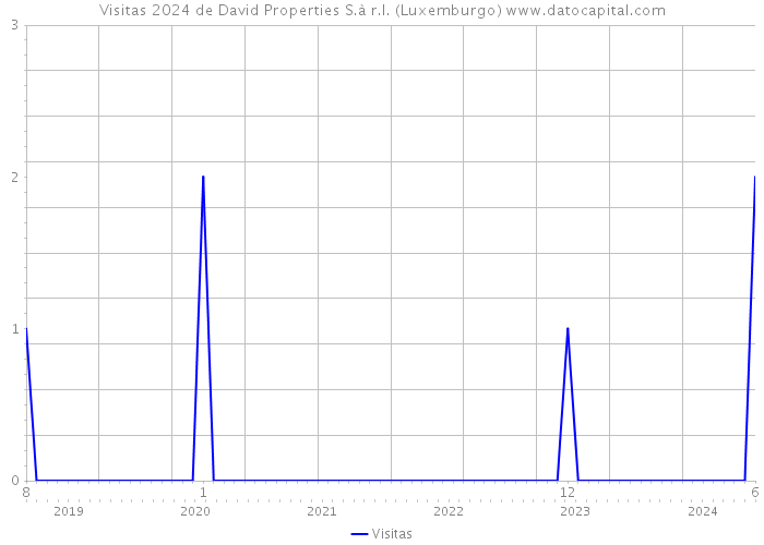 Visitas 2024 de David Properties S.à r.l. (Luxemburgo) 