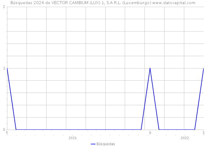 Búsquedas 2024 de VECTOR CAMBIUM (LUX) 1, S.A R.L. (Luxemburgo) 