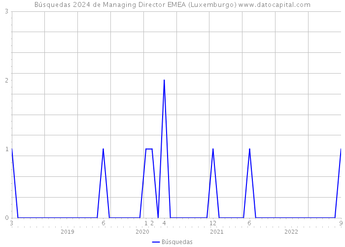 Búsquedas 2024 de Managing Director EMEA (Luxemburgo) 