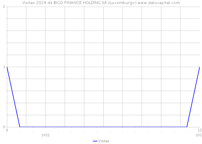 Visitas 2024 de BIGO FINANCE HOLDING SA (Luxemburgo) 