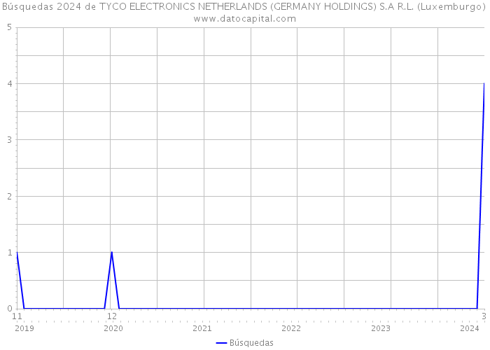 Búsquedas 2024 de TYCO ELECTRONICS NETHERLANDS (GERMANY HOLDINGS) S.A R.L. (Luxemburgo) 