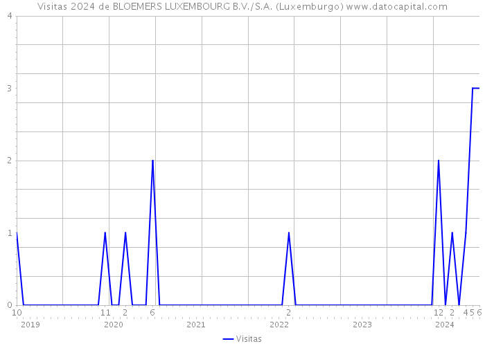 Visitas 2024 de BLOEMERS LUXEMBOURG B.V./S.A. (Luxemburgo) 