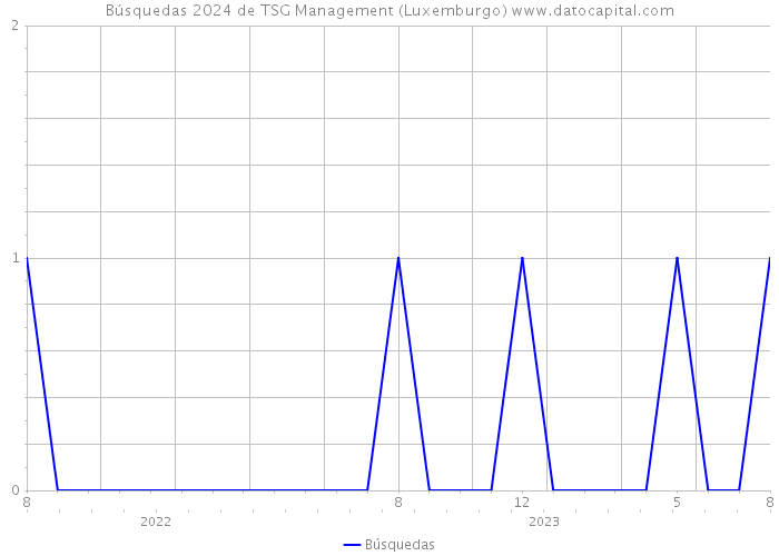 Búsquedas 2024 de TSG Management (Luxemburgo) 