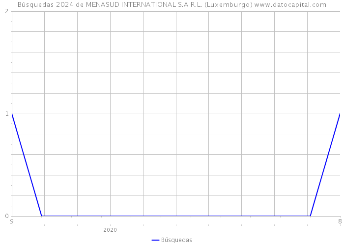 Búsquedas 2024 de MENASUD INTERNATIONAL S.A R.L. (Luxemburgo) 