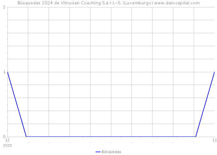 Búsquedas 2024 de Vitruvian Coaching S.à r.l.-S. (Luxemburgo) 