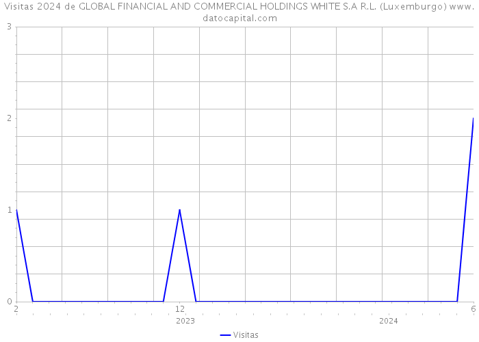 Visitas 2024 de GLOBAL FINANCIAL AND COMMERCIAL HOLDINGS WHITE S.A R.L. (Luxemburgo) 