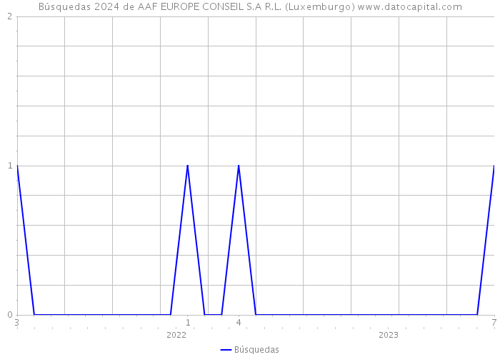 Búsquedas 2024 de AAF EUROPE CONSEIL S.A R.L. (Luxemburgo) 