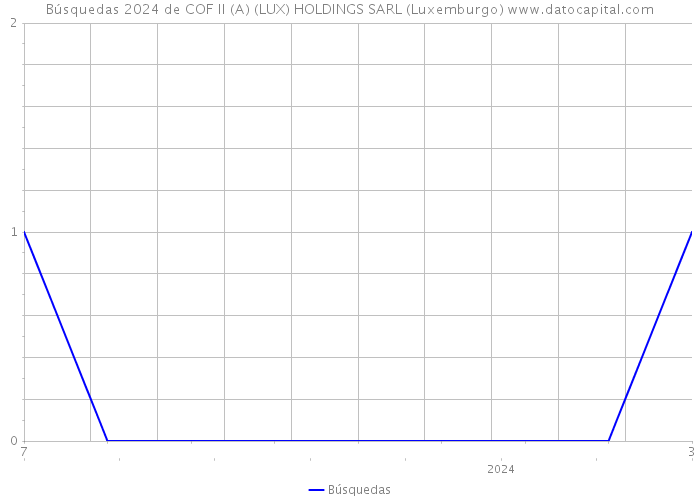 Búsquedas 2024 de COF II (A) (LUX) HOLDINGS SARL (Luxemburgo) 