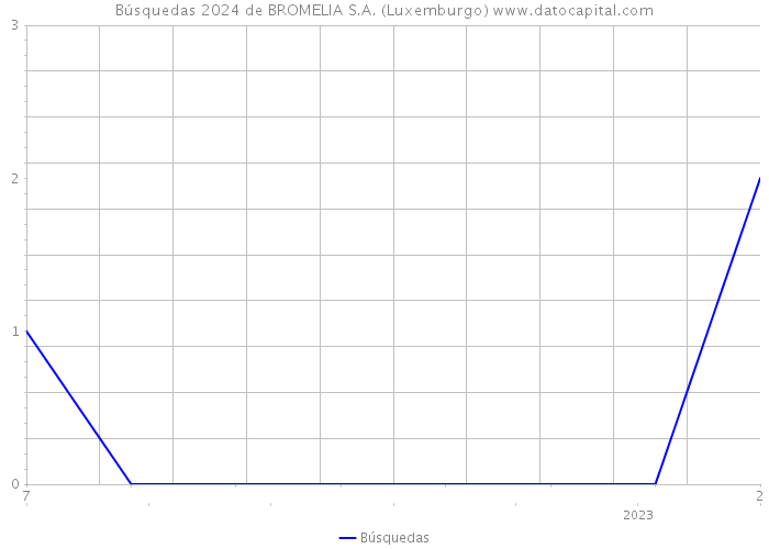 Búsquedas 2024 de BROMELIA S.A. (Luxemburgo) 