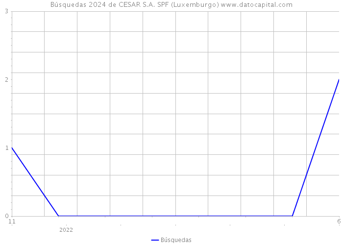 Búsquedas 2024 de CESAR S.A. SPF (Luxemburgo) 