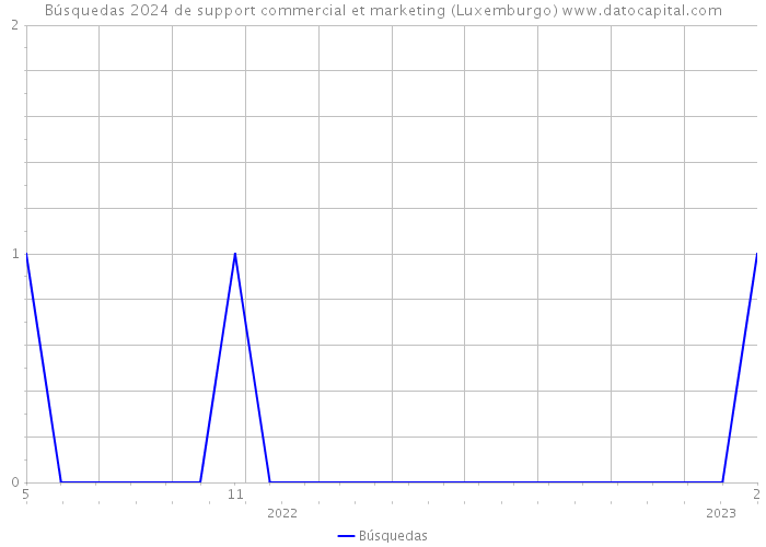 Búsquedas 2024 de support commercial et marketing (Luxemburgo) 