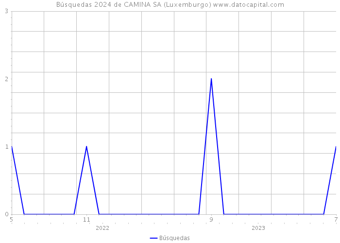 Búsquedas 2024 de CAMINA SA (Luxemburgo) 