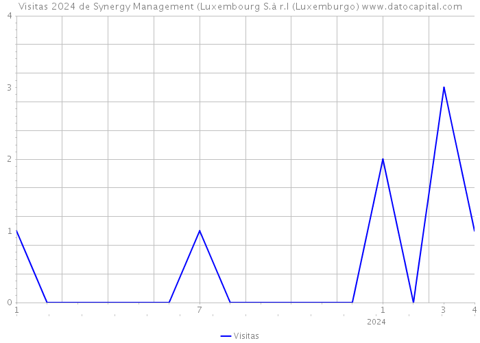Visitas 2024 de Synergy Management (Luxembourg S.à r.l (Luxemburgo) 