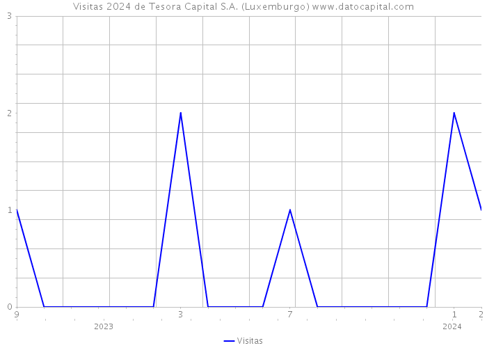 Visitas 2024 de Tesora Capital S.A. (Luxemburgo) 