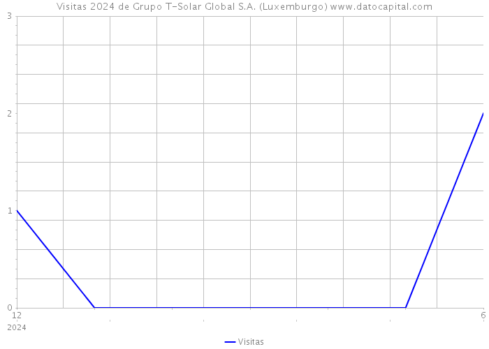 Visitas 2024 de Grupo T-Solar Global S.A. (Luxemburgo) 