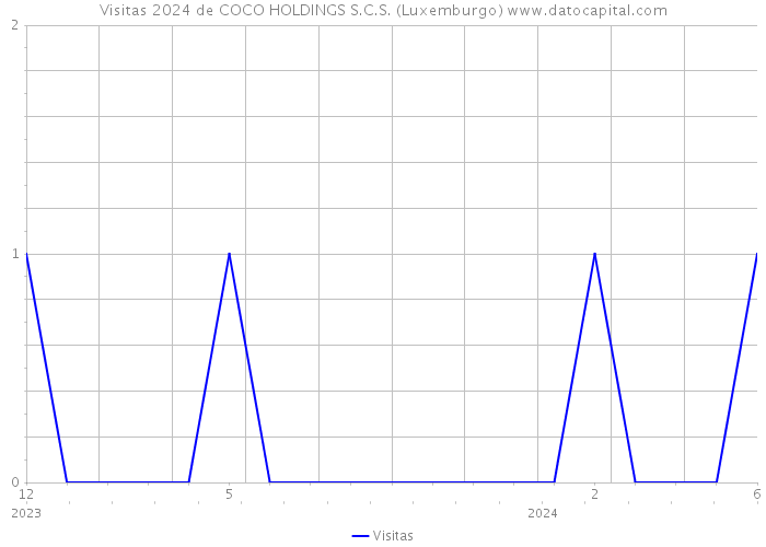 Visitas 2024 de COCO HOLDINGS S.C.S. (Luxemburgo) 