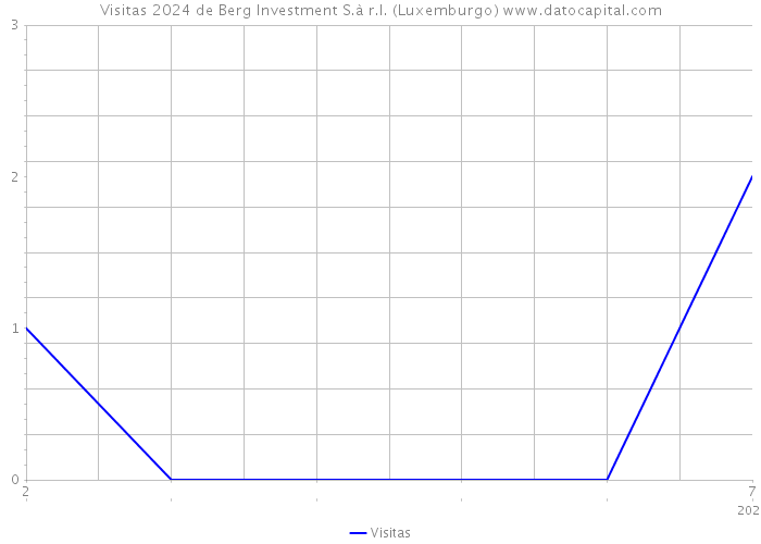 Visitas 2024 de Berg Investment S.à r.l. (Luxemburgo) 