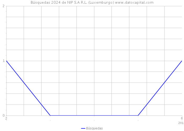 Búsquedas 2024 de NIP S.A R.L. (Luxemburgo) 