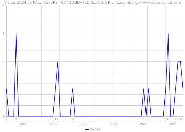 Visitas 2024 de PALLINGHURST CONSOLIDATED (LUX) S.A R.L. (Luxemburgo) 