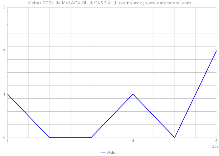 Visitas 2024 de MALAGA OIL & GAS S.A. (Luxemburgo) 