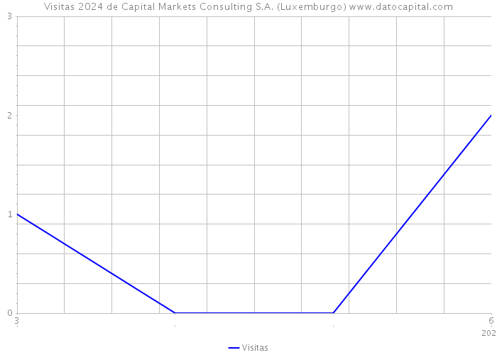 Visitas 2024 de Capital Markets Consulting S.A. (Luxemburgo) 