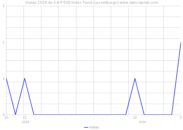 Visitas 2024 de S & P 500 Index Fund (Luxemburgo) 