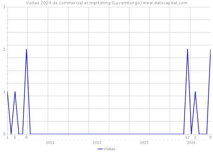 Visitas 2024 de commercial et marketing (Luxemburgo) 