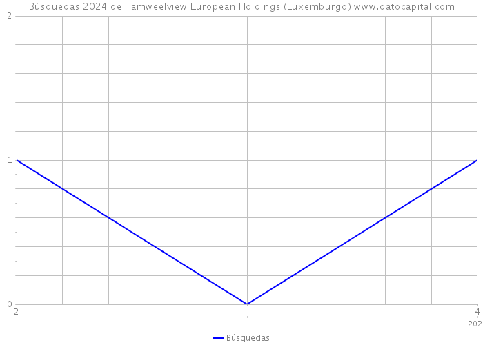 Búsquedas 2024 de Tamweelview European Holdings (Luxemburgo) 