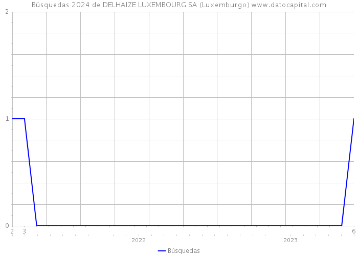 Búsquedas 2024 de DELHAIZE LUXEMBOURG SA (Luxemburgo) 