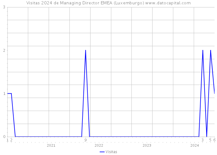 Visitas 2024 de Managing Director EMEA (Luxemburgo) 