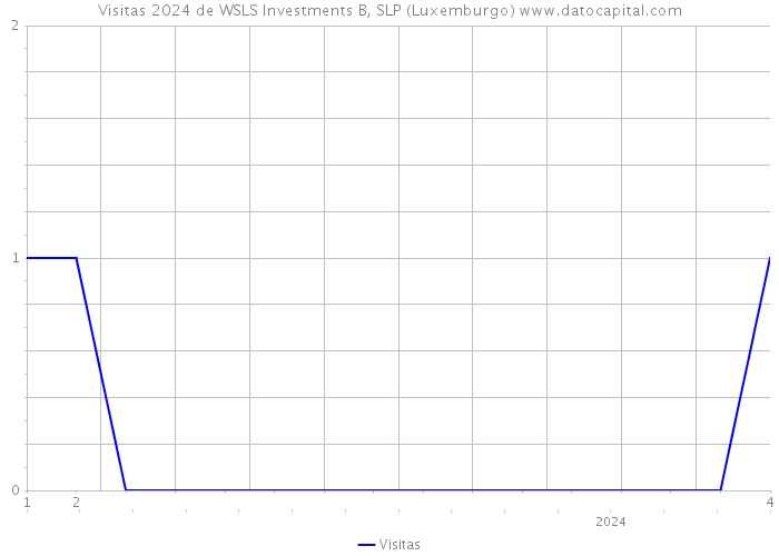 Visitas 2024 de WSLS Investments B, SLP (Luxemburgo) 