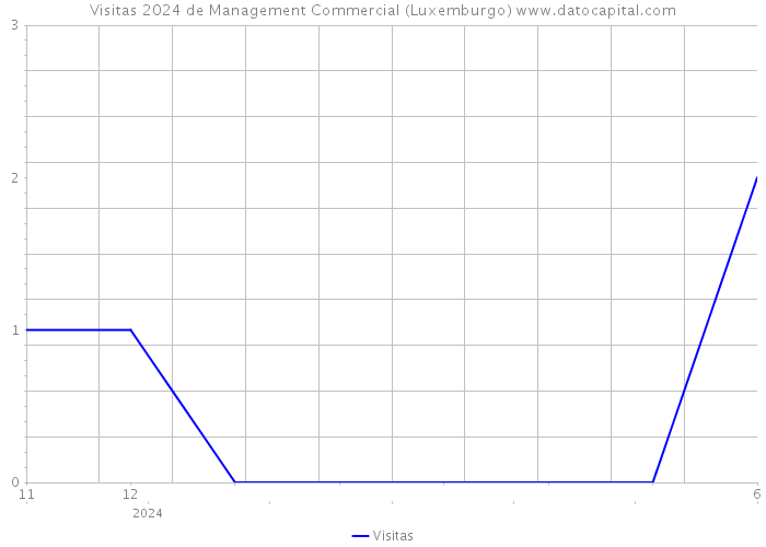 Visitas 2024 de Management Commercial (Luxemburgo) 