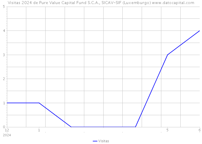 Visitas 2024 de Pure Value Capital Fund S.C.A., SICAV-SIF (Luxemburgo) 