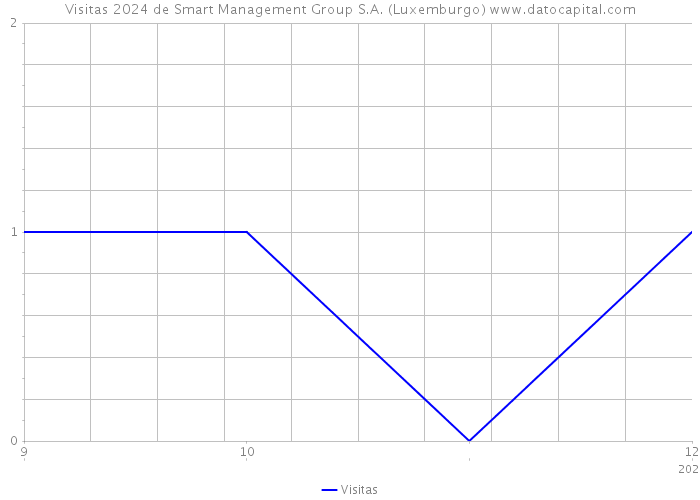 Visitas 2024 de Smart Management Group S.A. (Luxemburgo) 