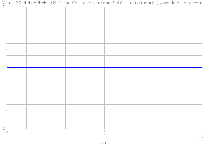 Visitas 2024 de HPREF II GBI Grand Central Investments 9 S.à r.l. (Luxemburgo) 